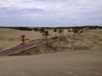 Fortaleza-(48)-dunes.jpg